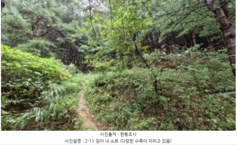 2024타경107598 경기도 군포시 산본동 산104-1 임야 경매 이미지