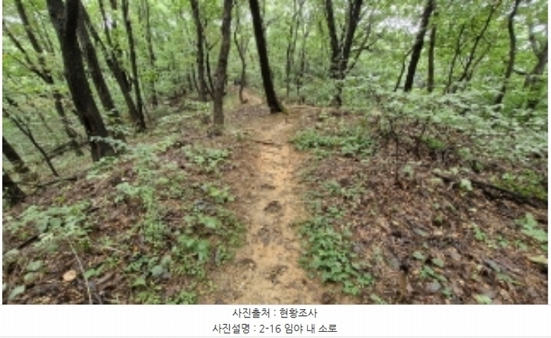 2024타경107598 경기도 군포시 산본동 산104-1 임야 경매 이미지