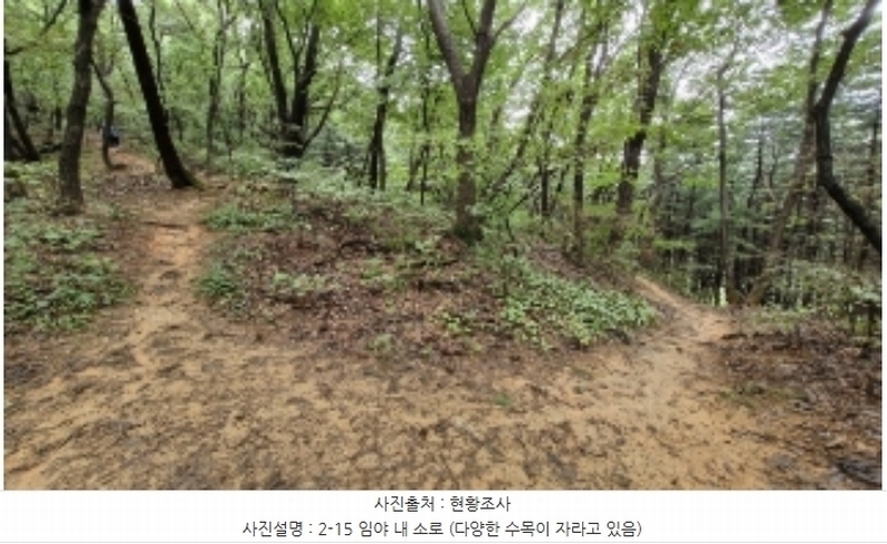 2024타경107598 경기도 군포시 산본동 산104-1 임야 경매 이미지