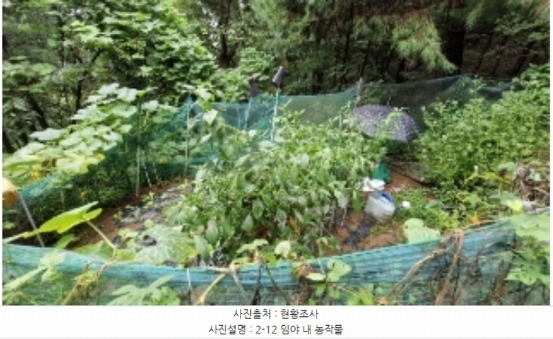 2024타경107598 경기도 군포시 산본동 산104-1 임야 경매 이미지