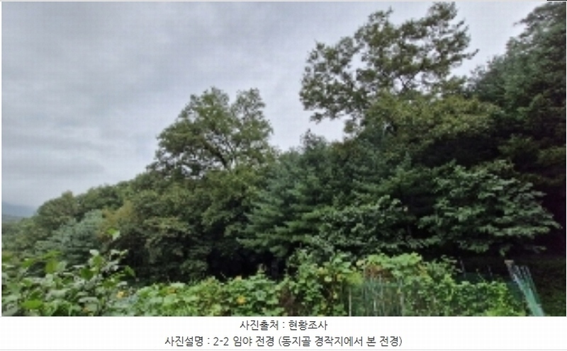 2024타경107598 경기도 군포시 산본동 산104-1 임야 경매 이미지
