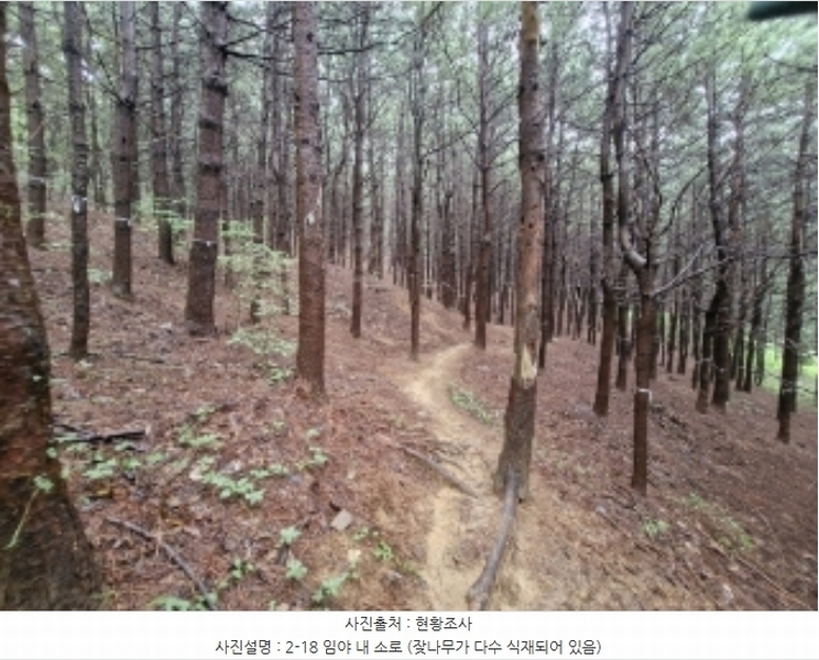 2024타경107598 경기도 군포시 산본동 산104-1 임야 경매 이미지