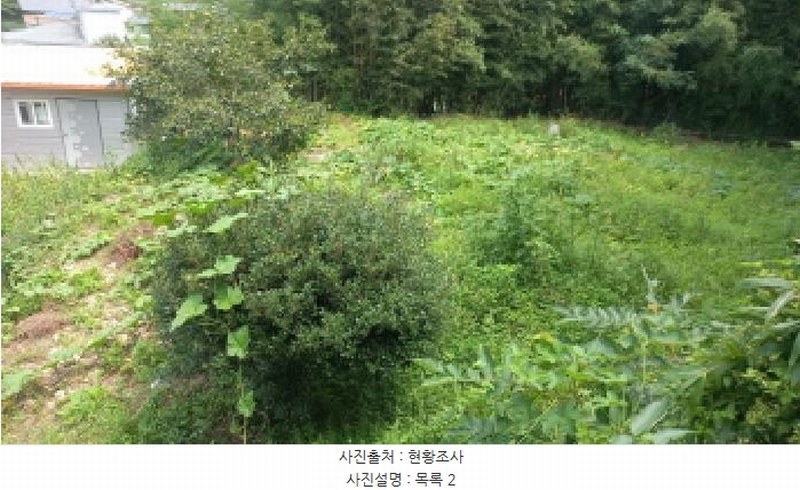 2025타경21788 경상남도 거제시 연초면 연사리 78-1 농지 경매 이미지