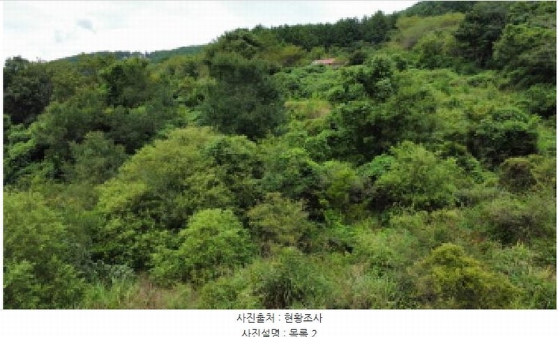 2025타경21909 경상남도 거제시 동부면 산양리 590 농지 경매 이미지