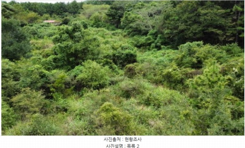 2025타경21909 경상남도 거제시 동부면 산양리 590 농지 경매 이미지