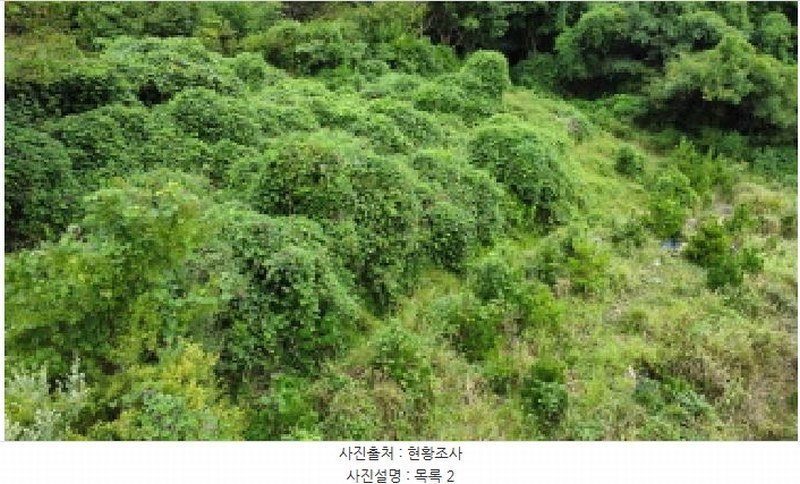 2025타경21909 경상남도 거제시 동부면 산양리 590 농지 경매 이미지