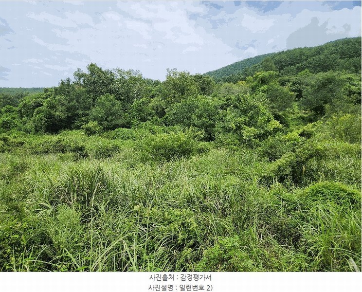 2025타경21909 경상남도 거제시 동부면 산양리 590 농지 경매 이미지