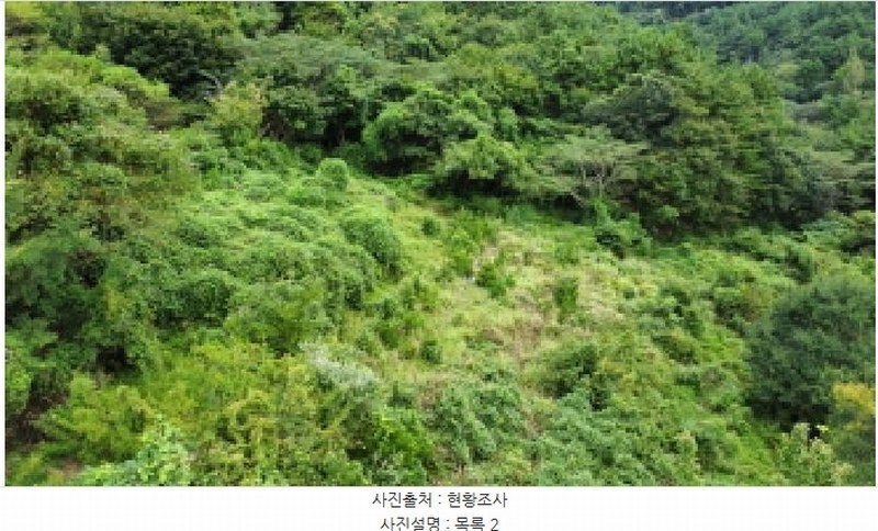 2025타경21909 경상남도 거제시 동부면 산양리 590 농지 경매 이미지