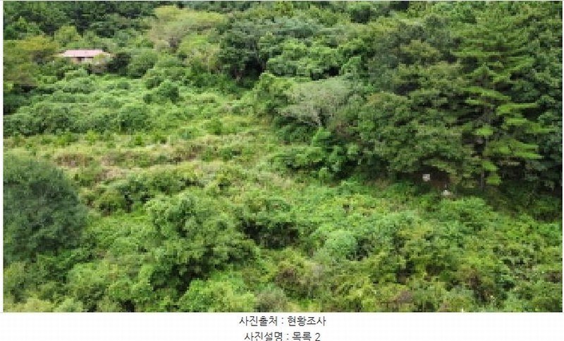 2025타경21909 경상남도 거제시 동부면 산양리 590 농지 경매 이미지
