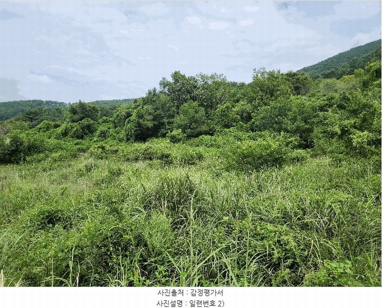 2025타경21909 경상남도 거제시 동부면 산양리 590 농지 경매 이미지