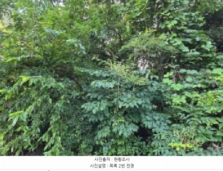 2025타경12148 충청남도 아산시 신창면 가덕리 488-6 임야 경매 이미지