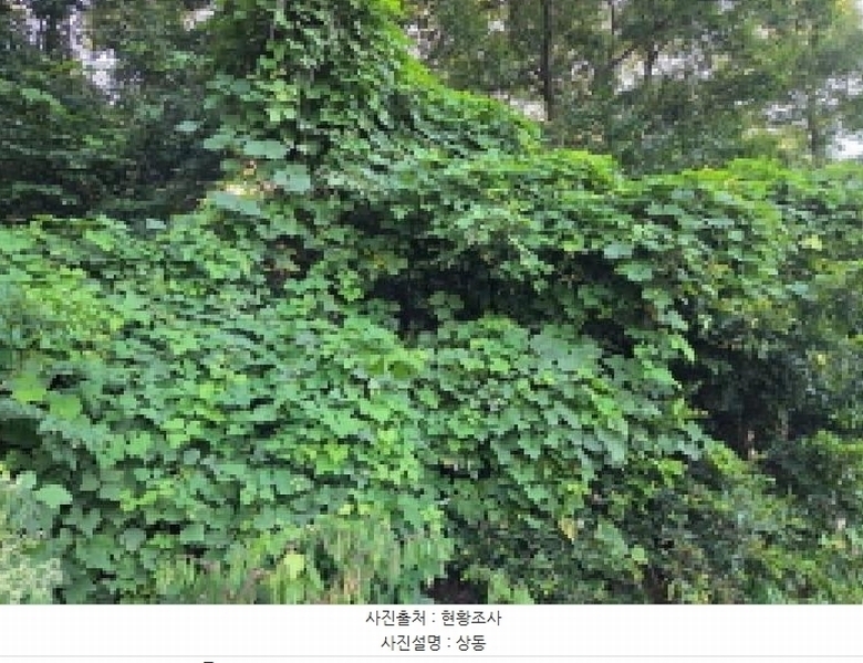 2025타경12148 충청남도 아산시 신창면 가덕리 488-6 임야 경매 이미지