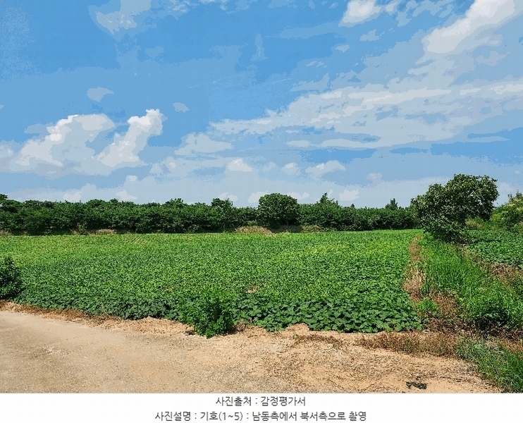 2025타경21090 전북특별자치도 익산시 삼기면 오룡리 217-8 임야 경매 이미지
