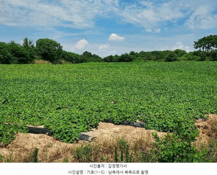 2025타경21090 전북특별자치도 익산시 삼기면 오룡리 217-8 임야 경매 이미지