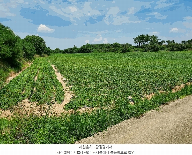 2025타경21090 전북특별자치도 익산시 삼기면 오룡리 217-8 임야 경매 이미지