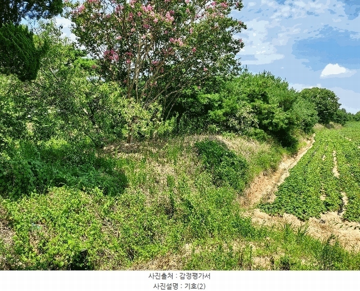 2025타경21090 전북특별자치도 익산시 삼기면 오룡리 217-8 임야 경매 이미지