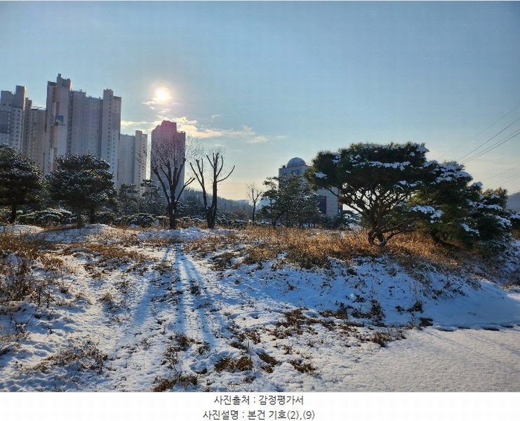 2023타경549431 인천광역시 중구 중산동 296-6 농지 경매 이미지