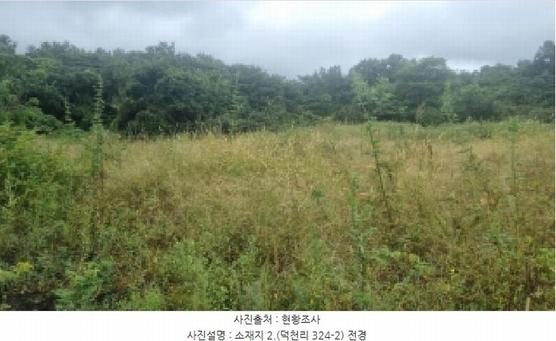 2025타경1515 제주특별자치도 제주시 구좌읍 덕천리 324-2 농지 경매 이미지