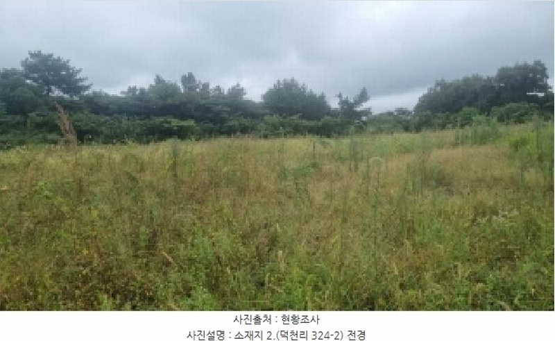 2025타경1515 제주특별자치도 제주시 구좌읍 덕천리 324-2 농지 경매 이미지