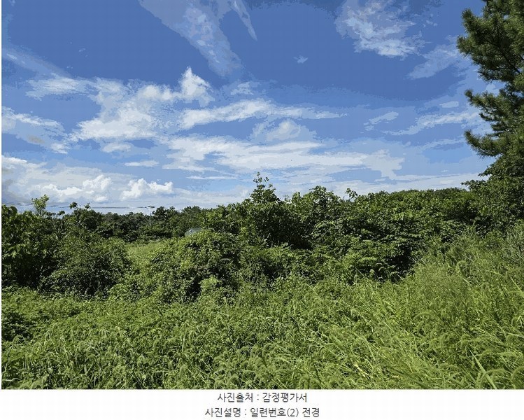 2025타경1515 제주특별자치도 제주시 구좌읍 덕천리 324-2 농지 경매 이미지