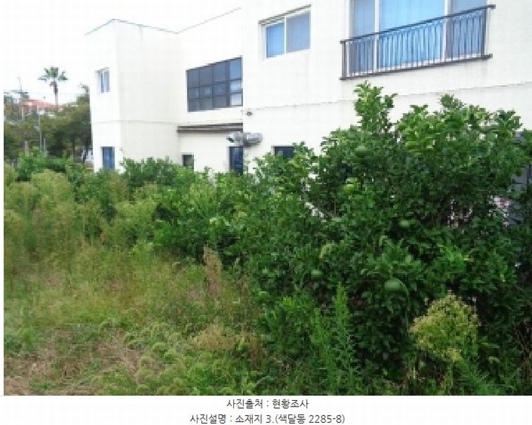 2025타경1768 제주특별자치도 서귀포시 색달동 2285-8 과수원 경매 이미지