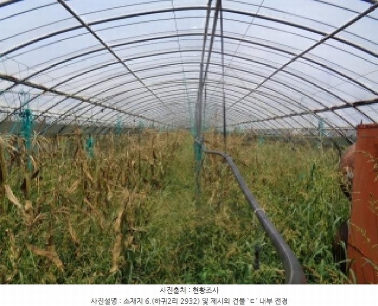 2025타경8313 제주특별자치도 제주시 애월읍 하귀2리 2930-3 농지 경매 이미지