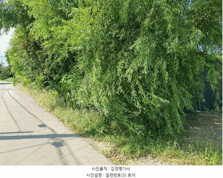 2025타경8313 제주특별자치도 제주시 애월읍 하귀2리 2930-3 농지 경매 이미지