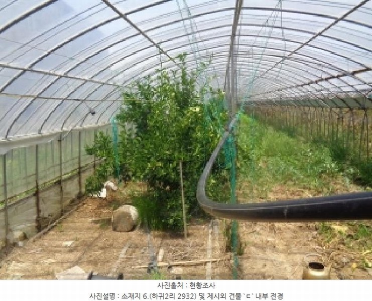 2025타경8313 제주특별자치도 제주시 애월읍 하귀2리 2930-3 농지 경매 이미지