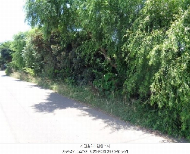 2025타경8313 제주특별자치도 제주시 애월읍 하귀2리 2930-3 농지 경매 이미지