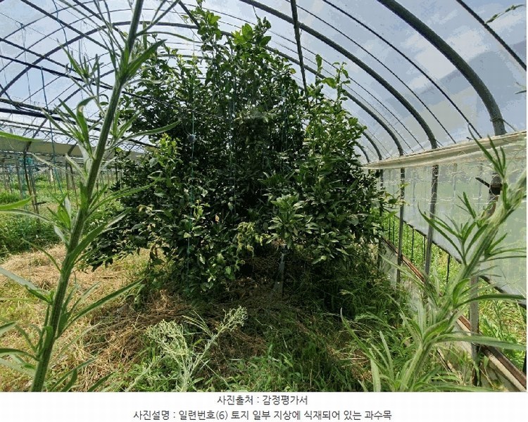 2025타경8313 제주특별자치도 제주시 애월읍 하귀2리 2930-3 농지 경매 이미지