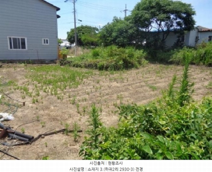 2025타경8313 제주특별자치도 제주시 애월읍 하귀2리 2930-3 농지 경매 이미지