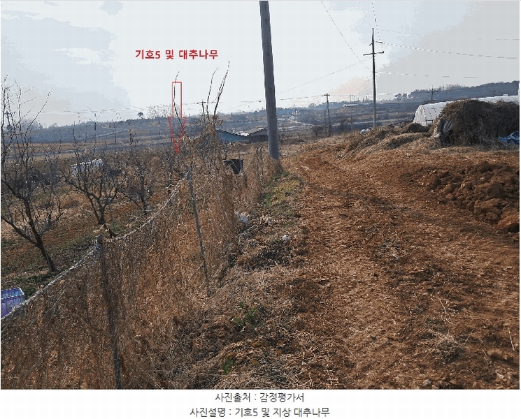 2025타경557 전북특별자치도 김제시 용지면 효정리 산2-7 임야 경매 이미지