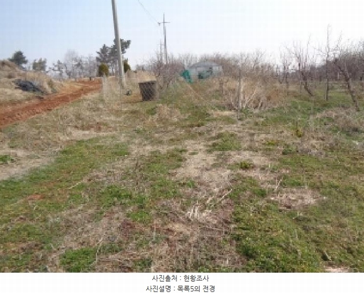 2025타경557 전북특별자치도 김제시 용지면 효정리 산2-7 임야 경매 이미지