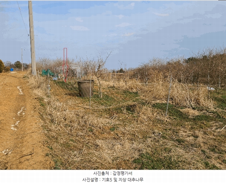 2025타경557 전북특별자치도 김제시 용지면 효정리 산2-7 임야 경매 이미지