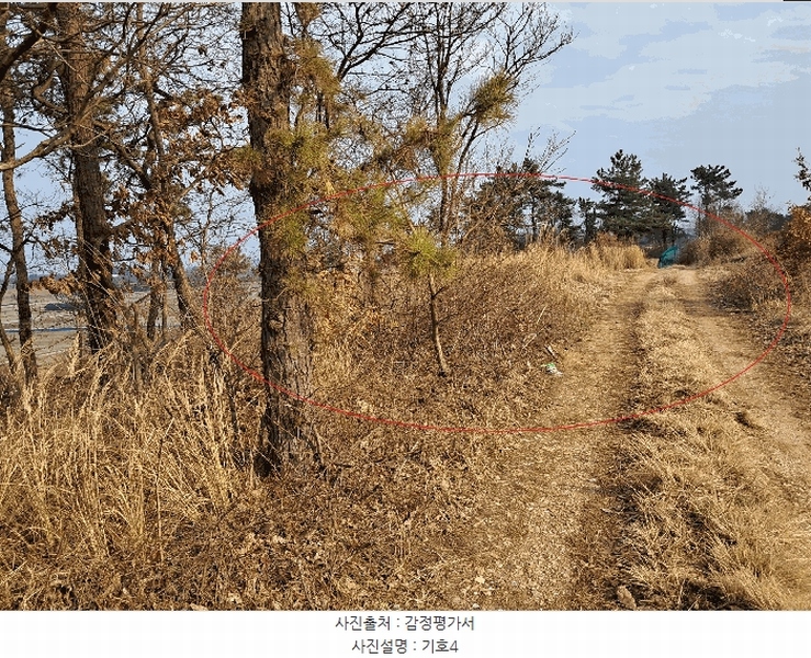 2025타경557 전북특별자치도 김제시 용지면 용암리 산120 임야 경매 이미지
