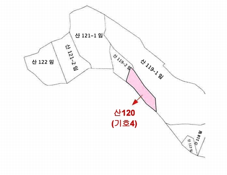 2025타경557 전북특별자치도 김제시 용지면 용암리 산120 임야 경매 이미지