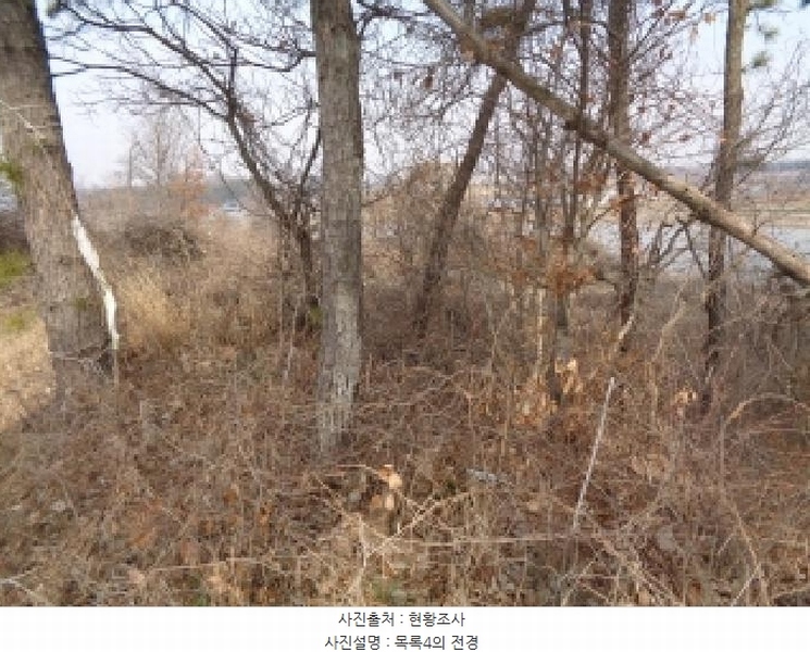 2025타경557 전북특별자치도 김제시 용지면 용암리 산120 임야 경매 이미지