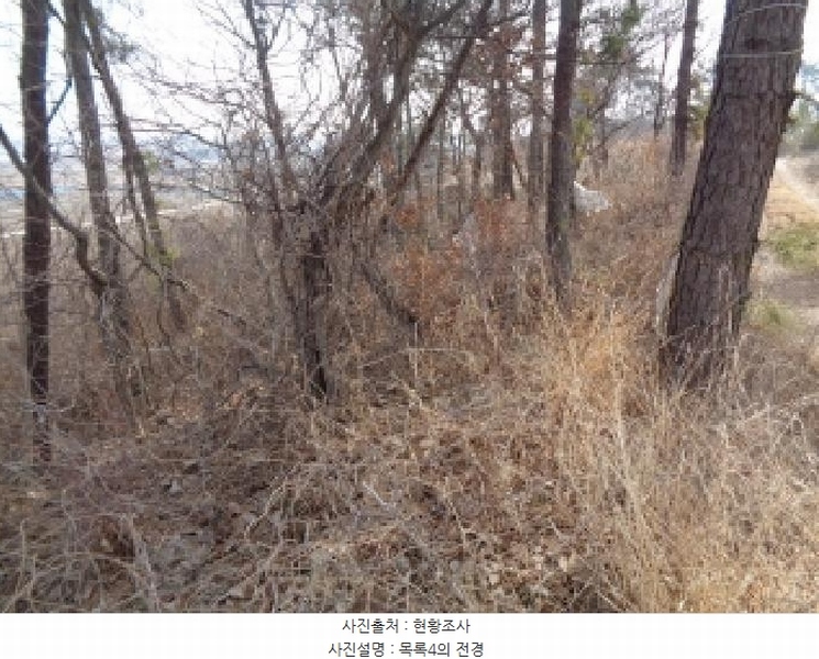 2025타경557 전북특별자치도 김제시 용지면 용암리 산120 임야 경매 이미지