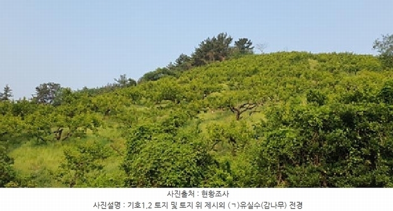 2025타경485 경상남도 김해시 진영읍 신용리 473-3 과수원 경매 이미지