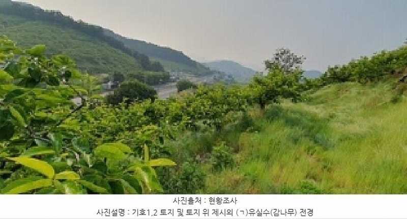 2025타경485 경상남도 김해시 진영읍 신용리 473-3 과수원 경매 이미지