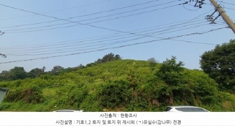 2025타경485 경상남도 김해시 진영읍 신용리 473-3 과수원 경매 이미지