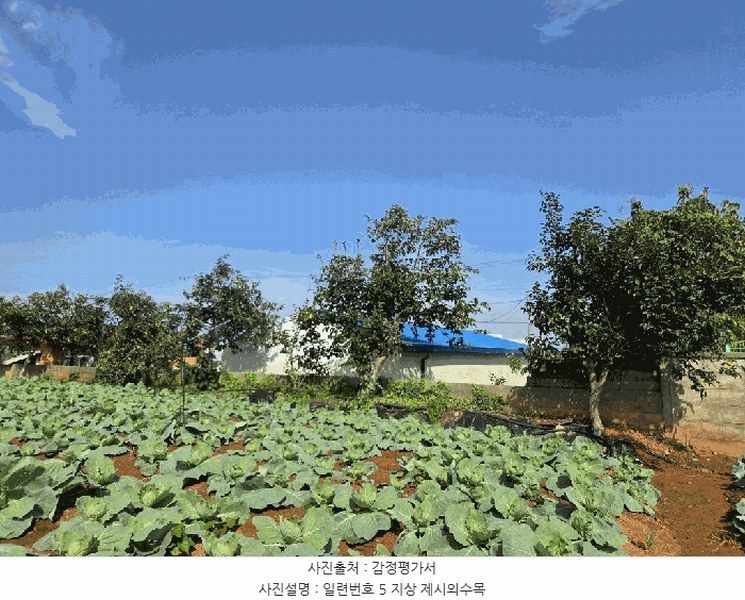 2025타경511 전라남도 무안군 현경면 용정리 616-30 농지 경매 이미지