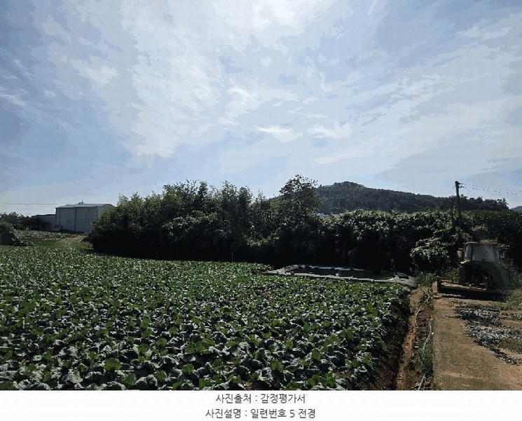 2025타경511 전라남도 무안군 현경면 용정리 616-30 농지 경매 이미지