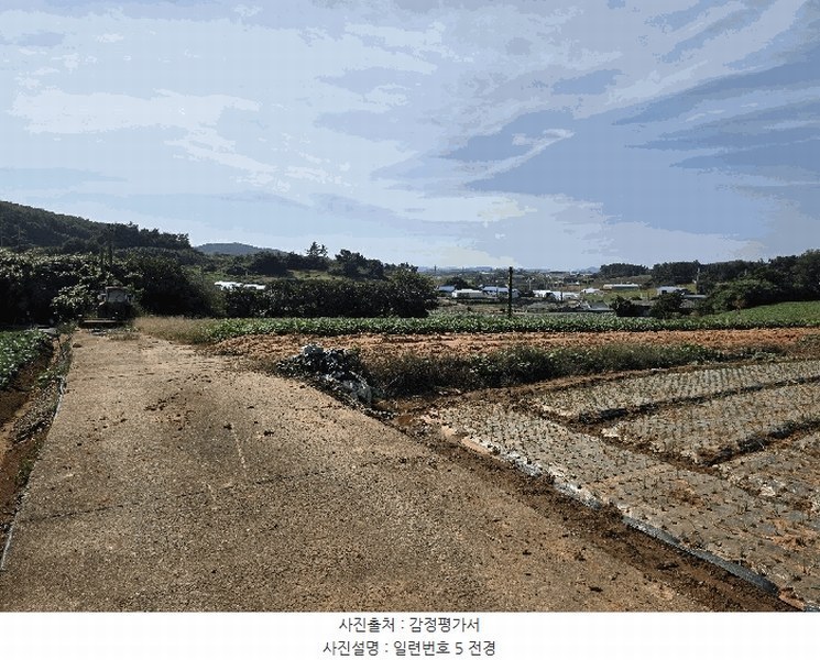 2025타경511 전라남도 무안군 현경면 용정리 616-30 농지 경매 이미지