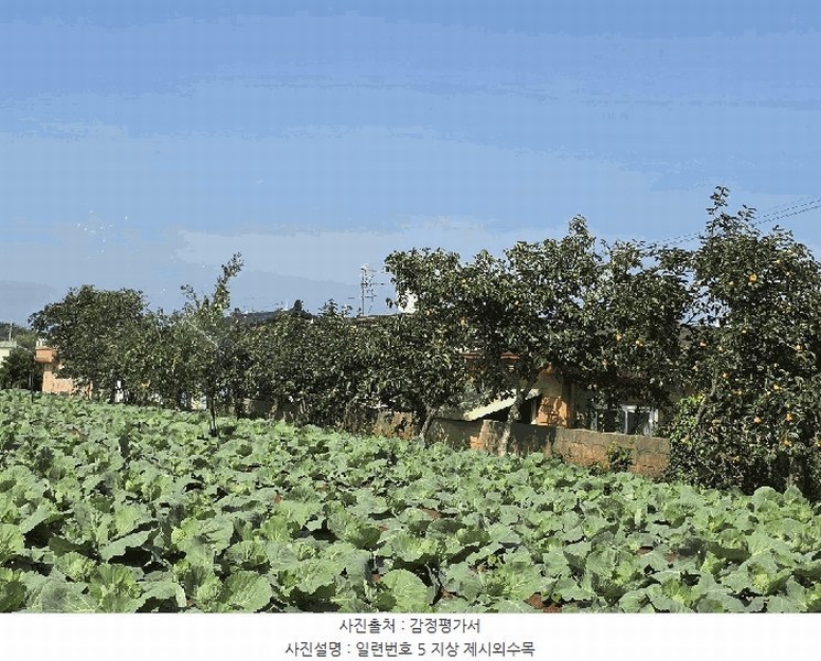 2025타경511 전라남도 무안군 현경면 용정리 616-30 농지 경매 이미지