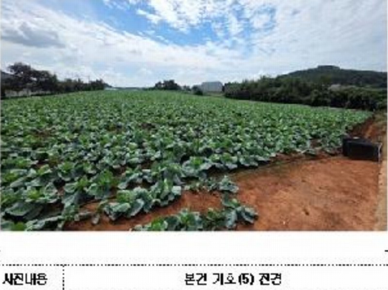 2025타경511 전라남도 무안군 현경면 용정리 616-30 농지 경매 이미지
