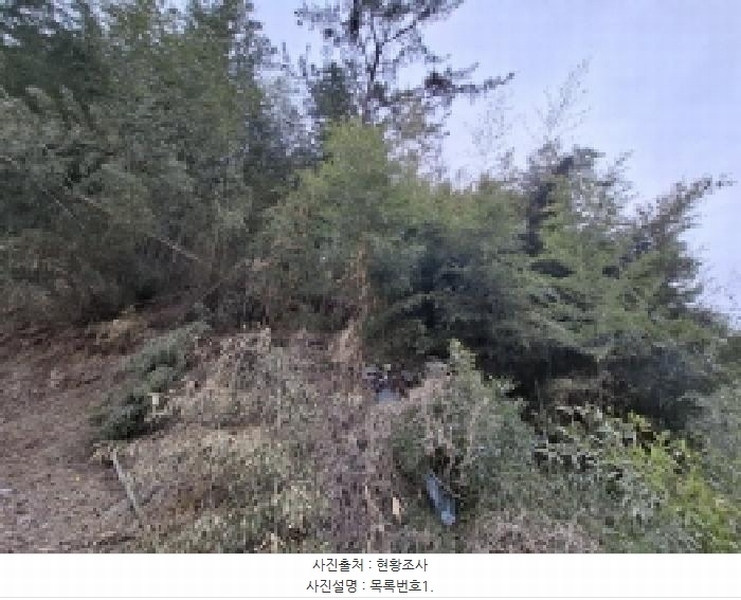 2025타경503 경상남도 사천시 곤양면 대진리 산62-2 임야 경매 이미지