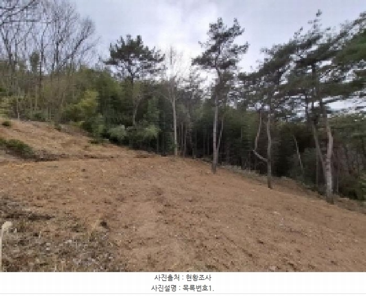 2025타경503 경상남도 사천시 곤양면 대진리 산62-2 임야 경매 이미지