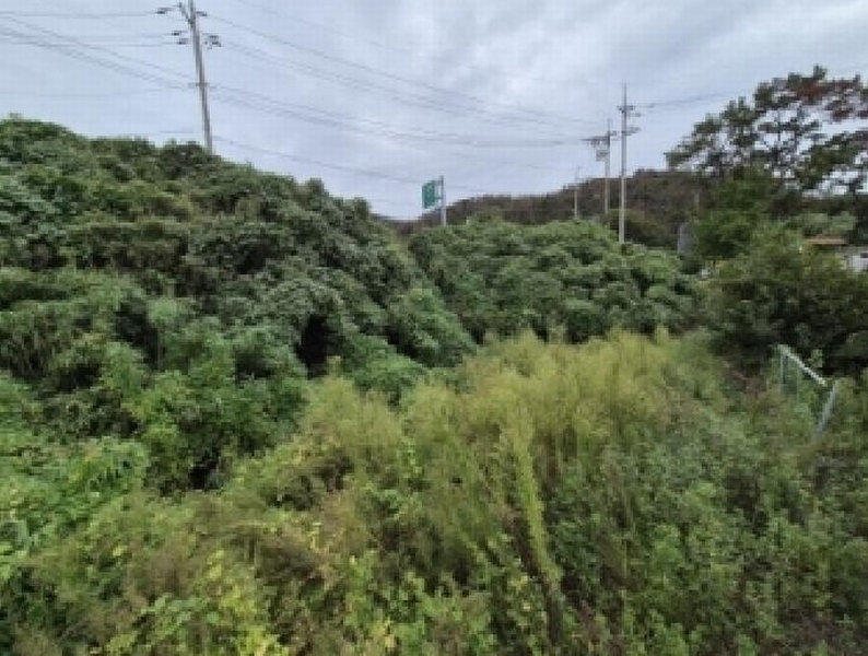 2025타경525 경상북도 경주시 감포읍 오류리 21 농지 경매 이미지