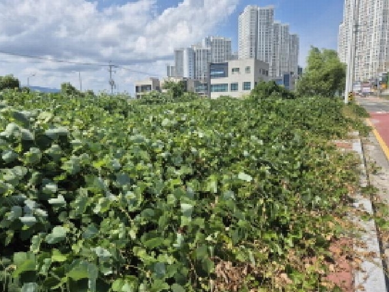 2025타경12322 울산광역시 북구 호계동 1010-10 대지 경매 이미지